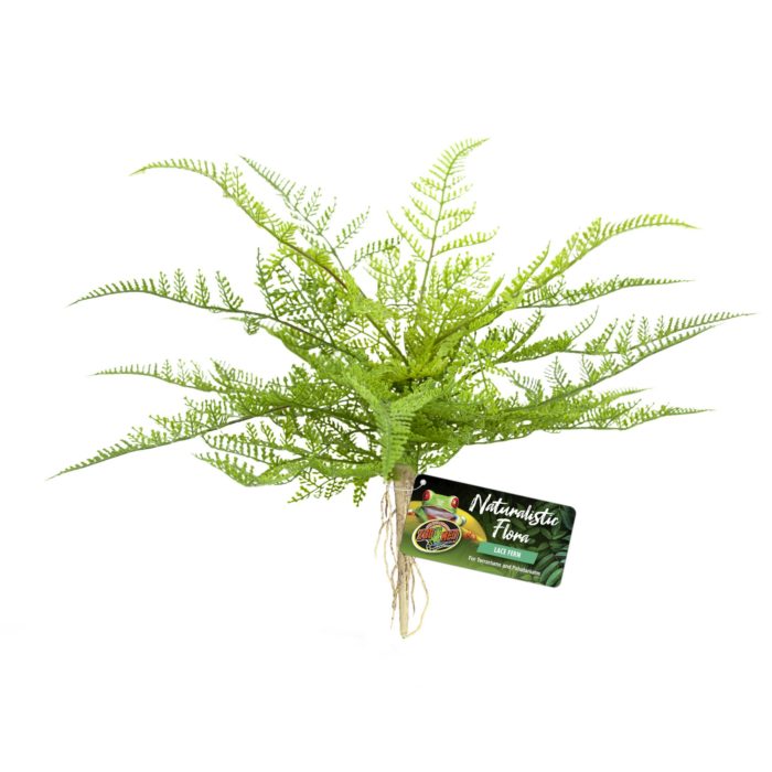 Zoo Med Naturalistic Flora - Lace Fern