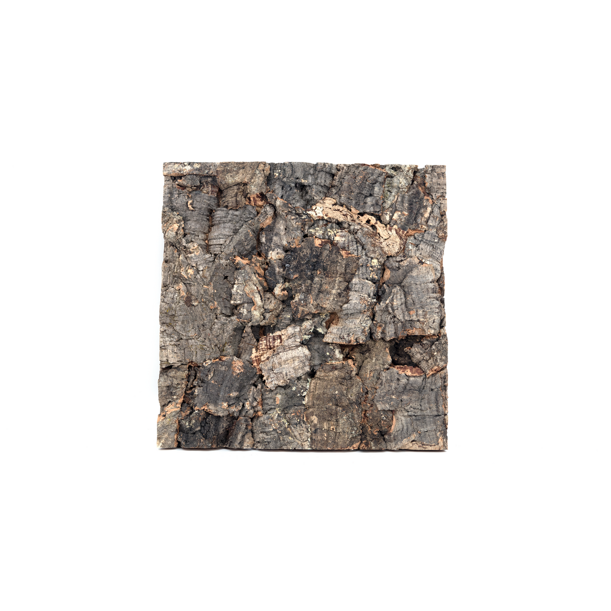 Pangea Cork Background - 12x12 Rough