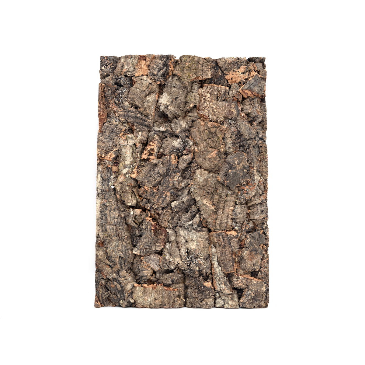 Pangea Cork Background - 12x18 Rough