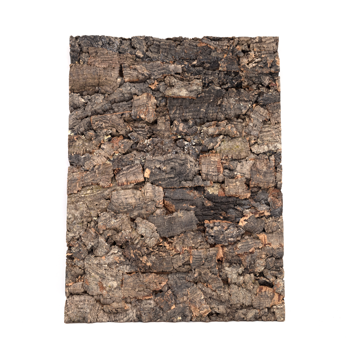 Pangea Cork Background - 18x24 Rough