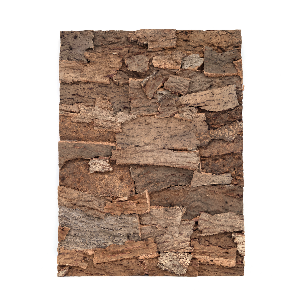 Pangea Cork Background - 18x24 Smooth