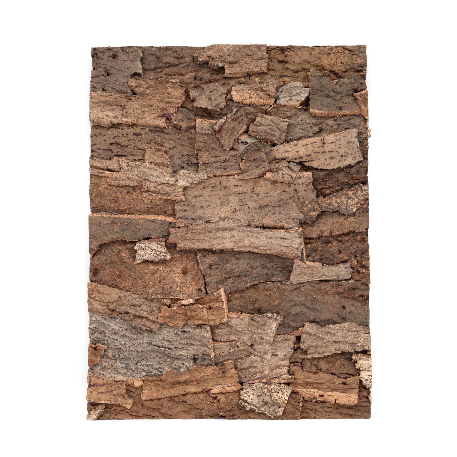 Pangea Cork Background - 18x24 Smooth