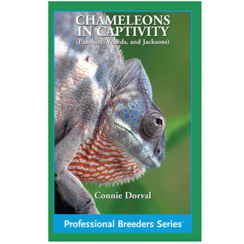 Chameleons in Captivity