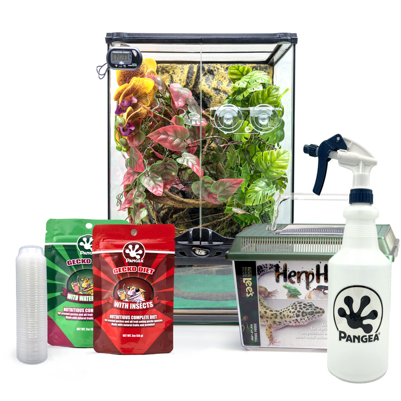 Crested Gecko Kit Gecko Starter Kit Pangea Reptile Pangea Reptile LLC