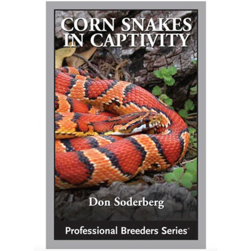 Corn Snakes in Captivity
