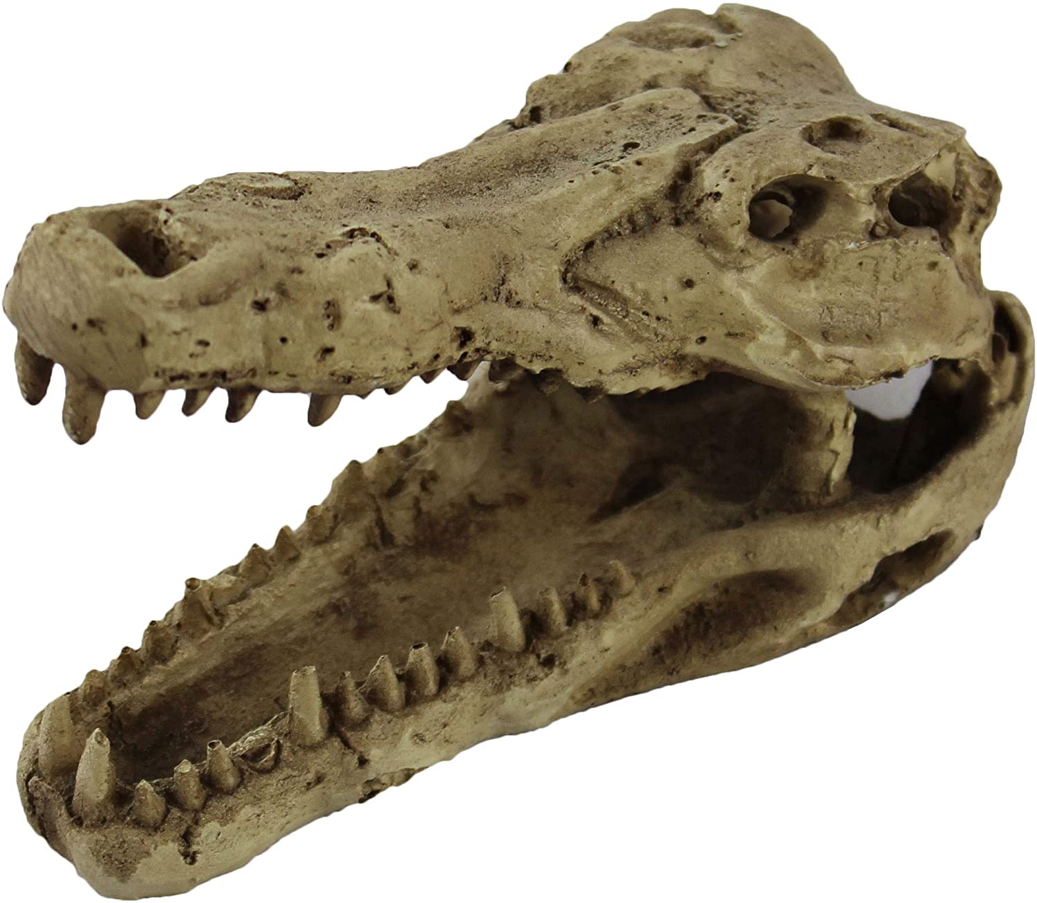 Pangea Crocodile Skull Reptile Hide