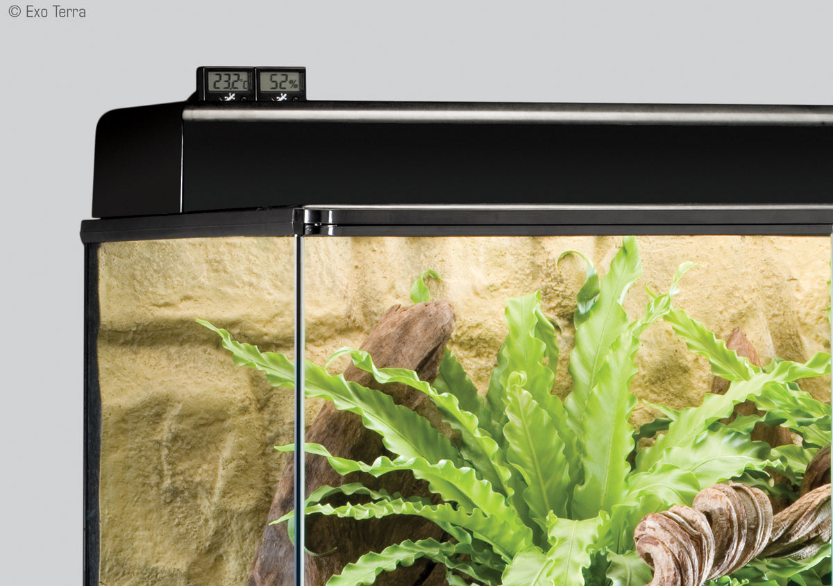 Exo Terra Digital Hygrometer Pangea Reptile LLC