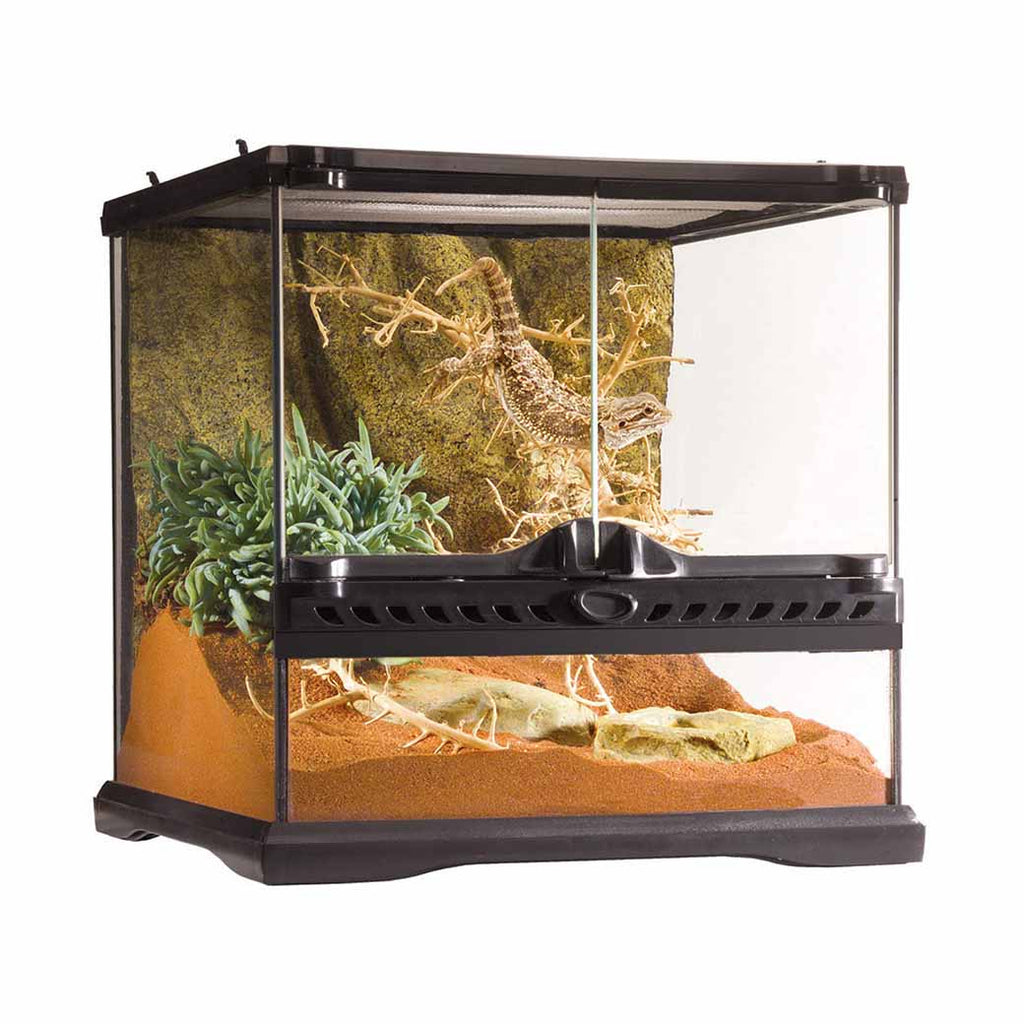Exo Terra Glass Terrarium | Exo Terra Terrarium 12x12x12 - Pangea
