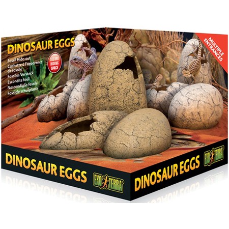 Exo Terra Dinosaur Egg Hideout