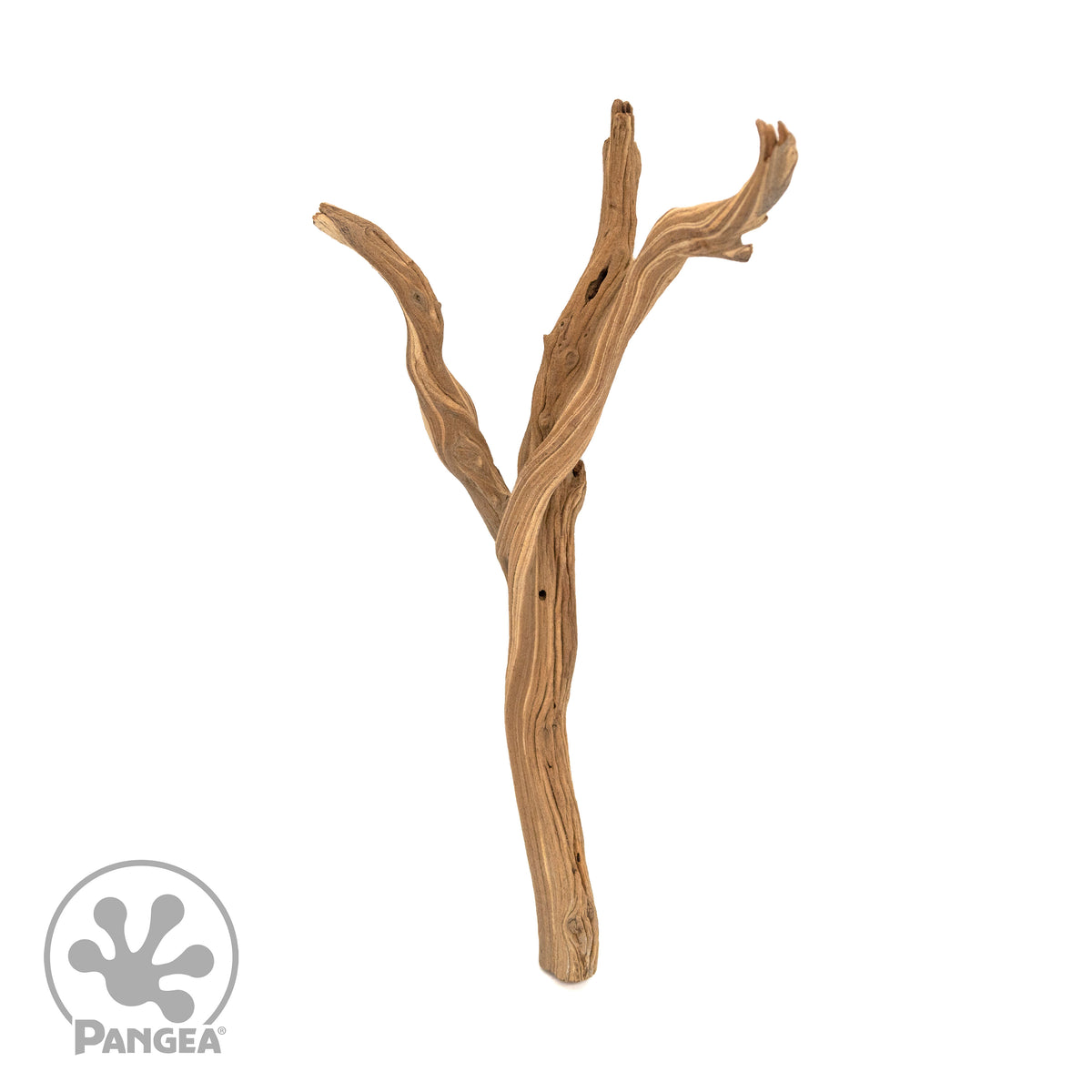 Pangea Ghost Wood Branch for enclosures.