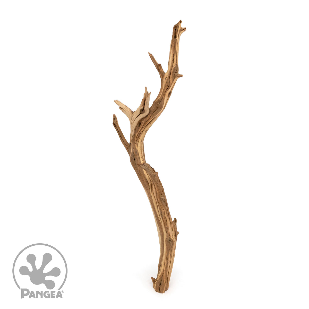 Pangea Ghost Wood Branch for enclosures.