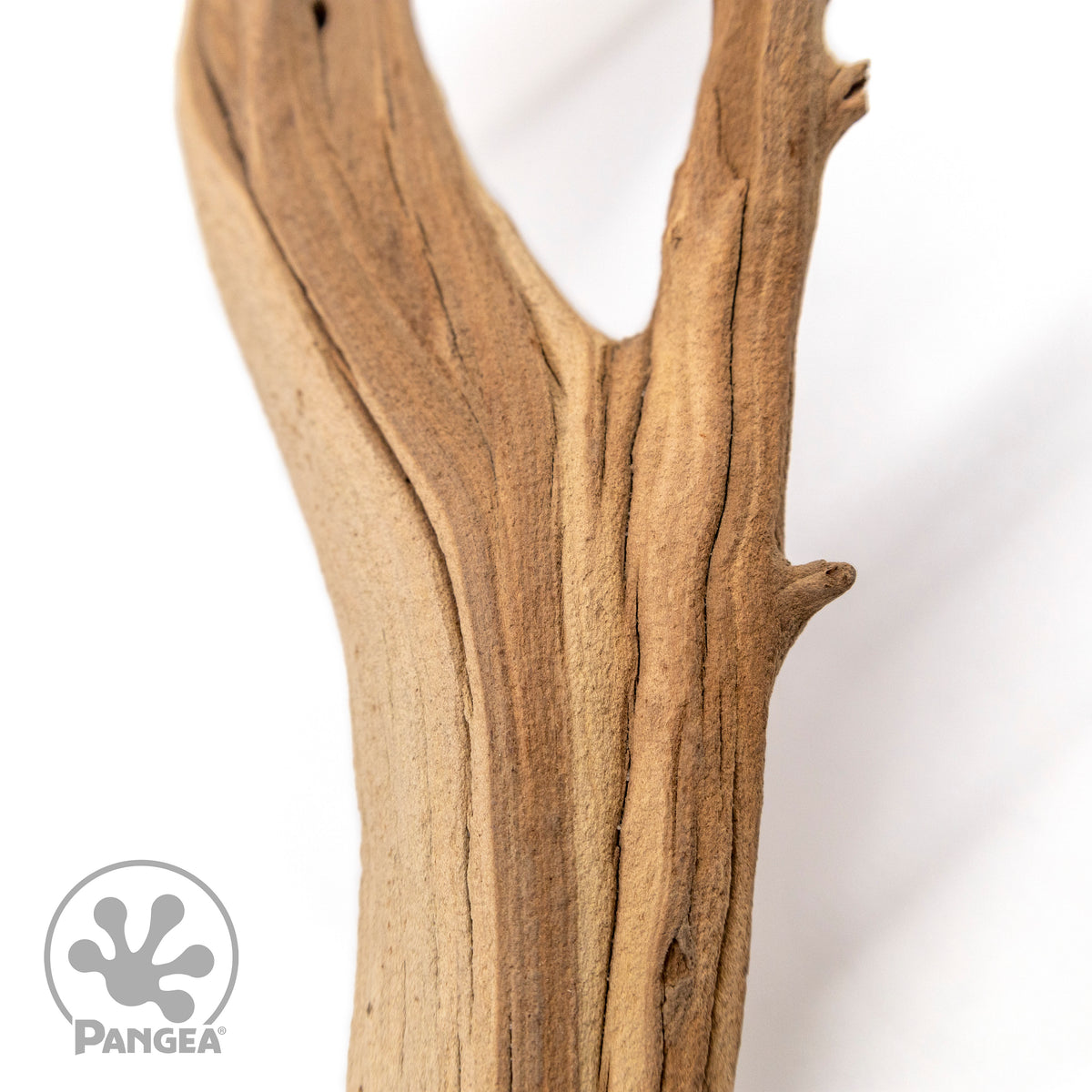 Pangea Ghost Wood Branch close up.