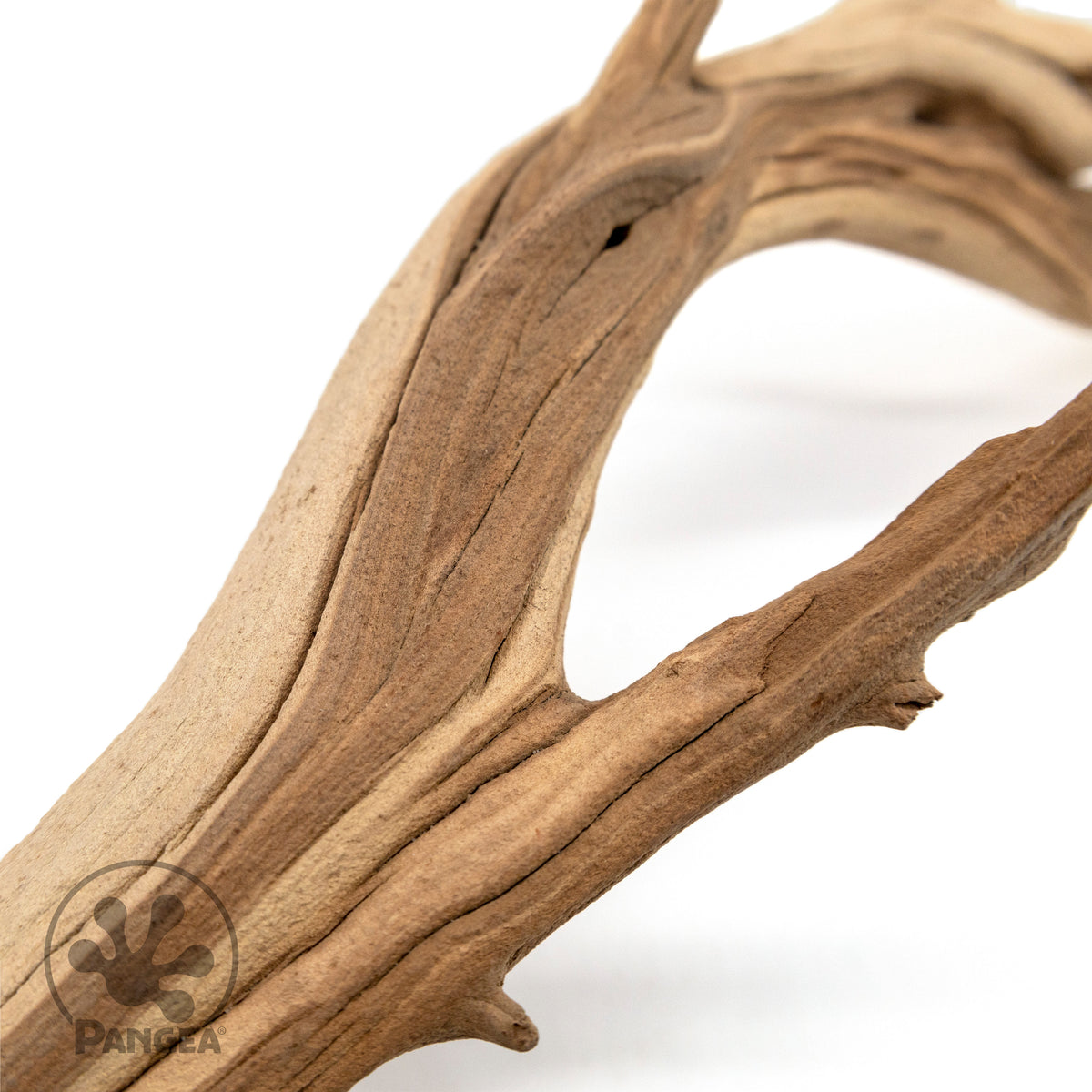 Pangea Ghost Wood Branch close up.