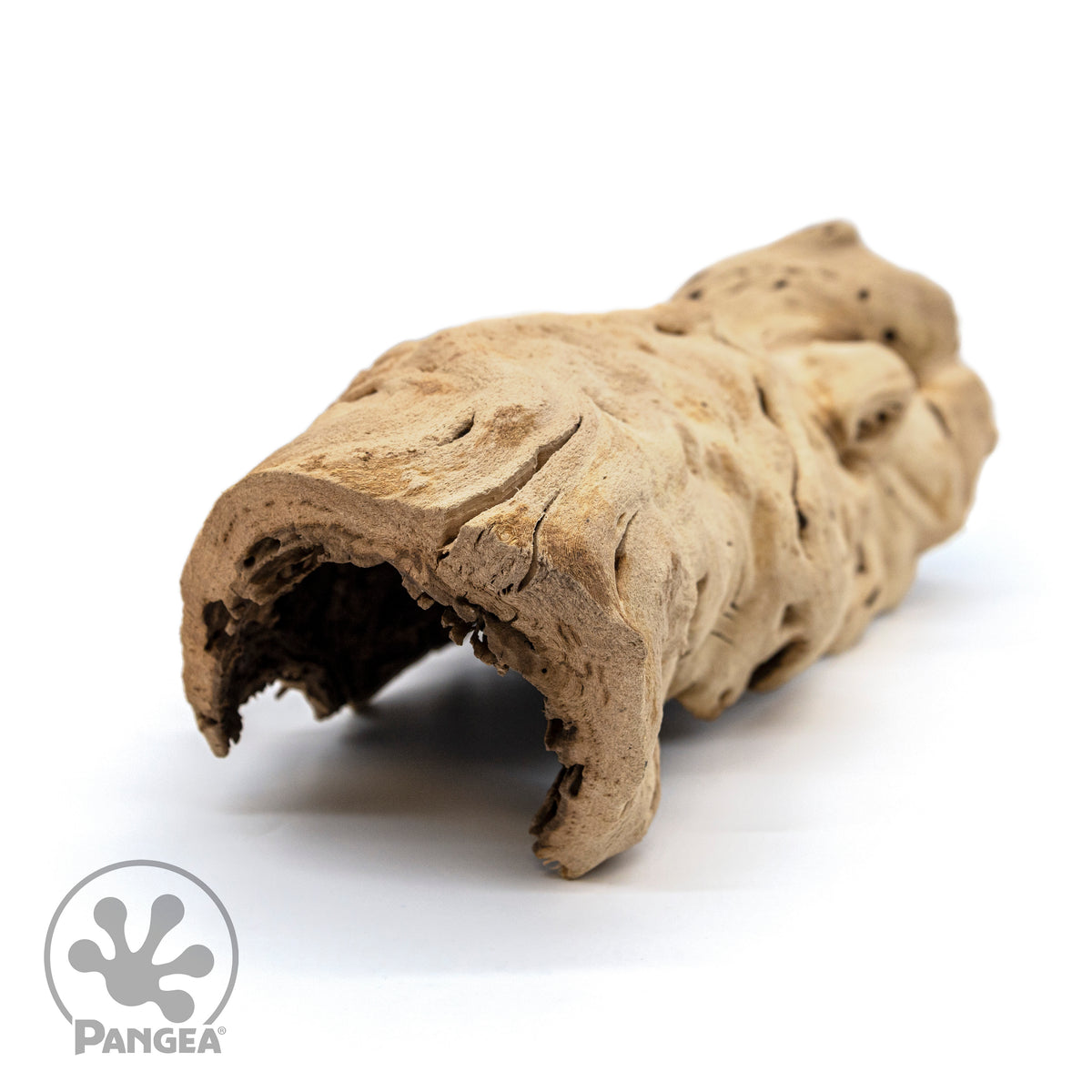 Pangea Grapevine Tunnels End