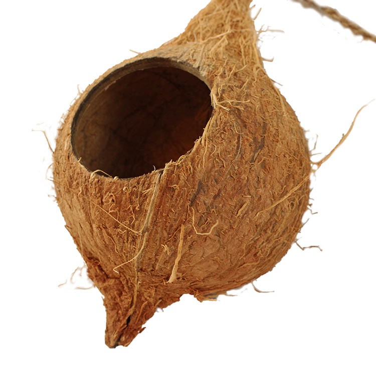 Cachette suspendu noix de coco à 1 trous - Hanging Coconut Reptile Hide 1  Hole
