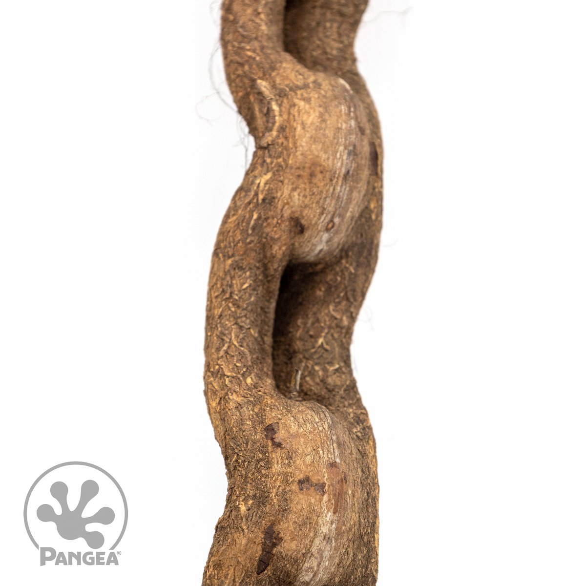 Pangea Jungle Wood close up