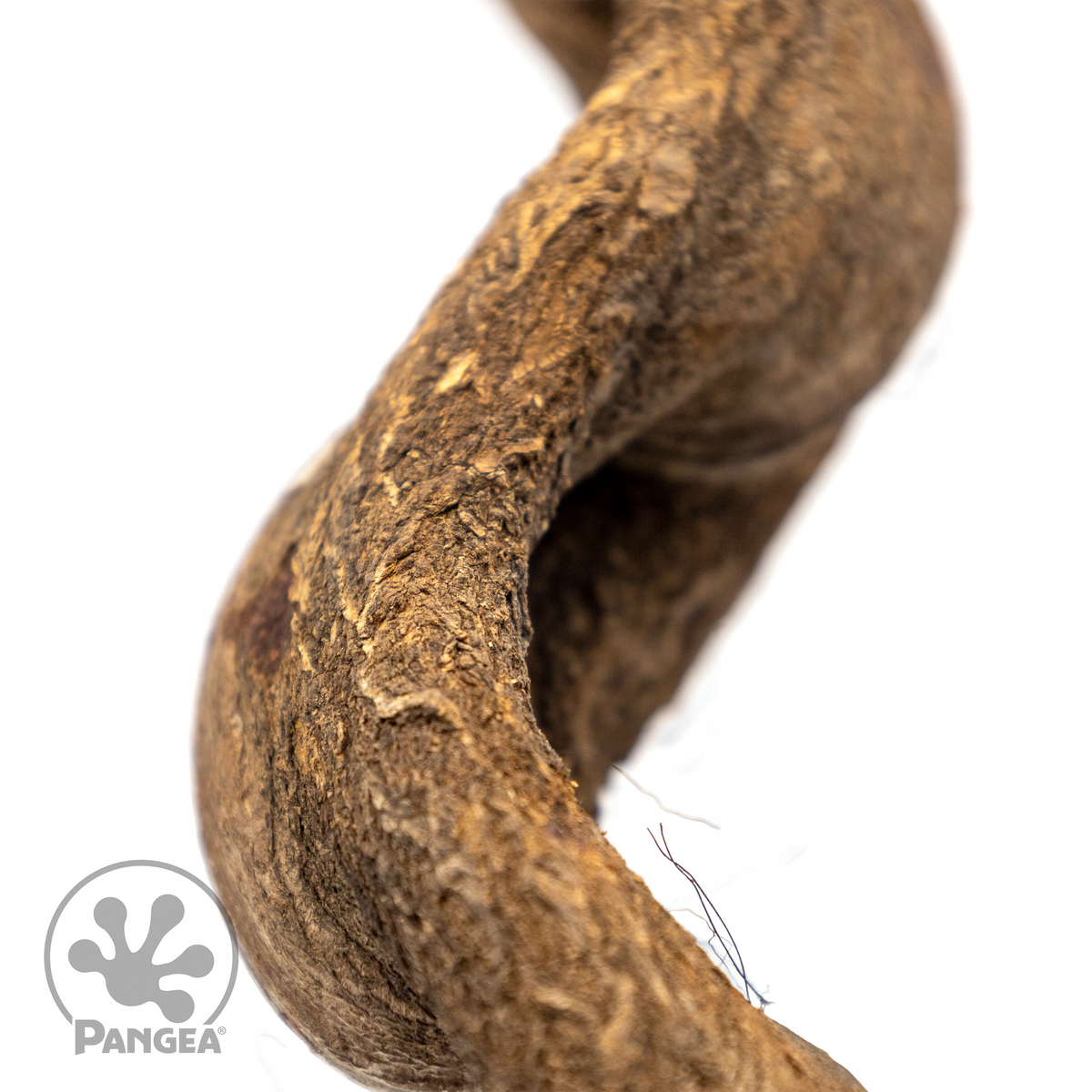 Pangea Jungle Wood close up details.