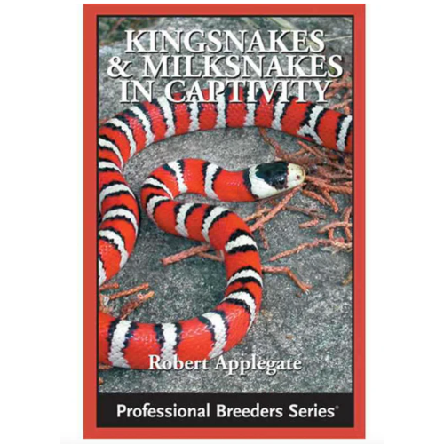 Kingsnakes Milksnakes in Captivity Pangea Reptile LLC