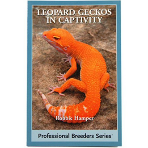 Leopard Geckos in Captivity - Pangea Reptile LLC