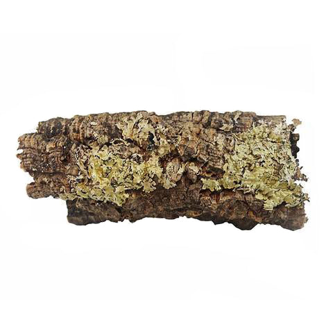Cork Bark by the Pound - Mixed Flats and Rounds