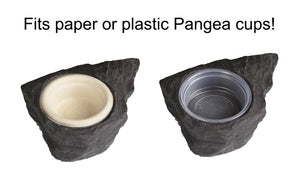 Pangea Mini Magnetic Gecko Feeder Ledge