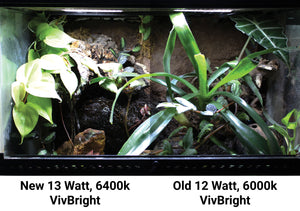 Pangea VivBright LED Terrarium Plant Light