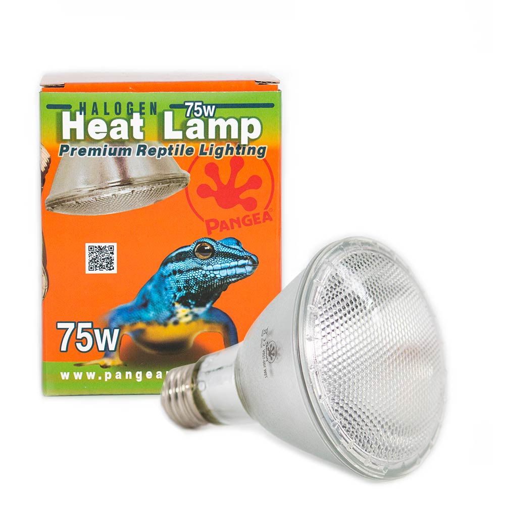 Pangea Halogen Heat Lamp Bulb and Package