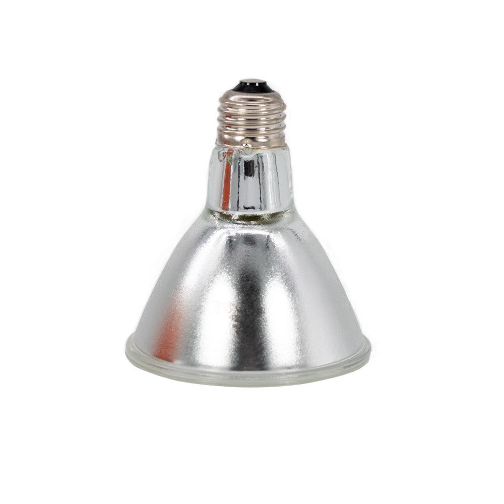 Pangea Halogen Heat Lamp Bulb Facedown