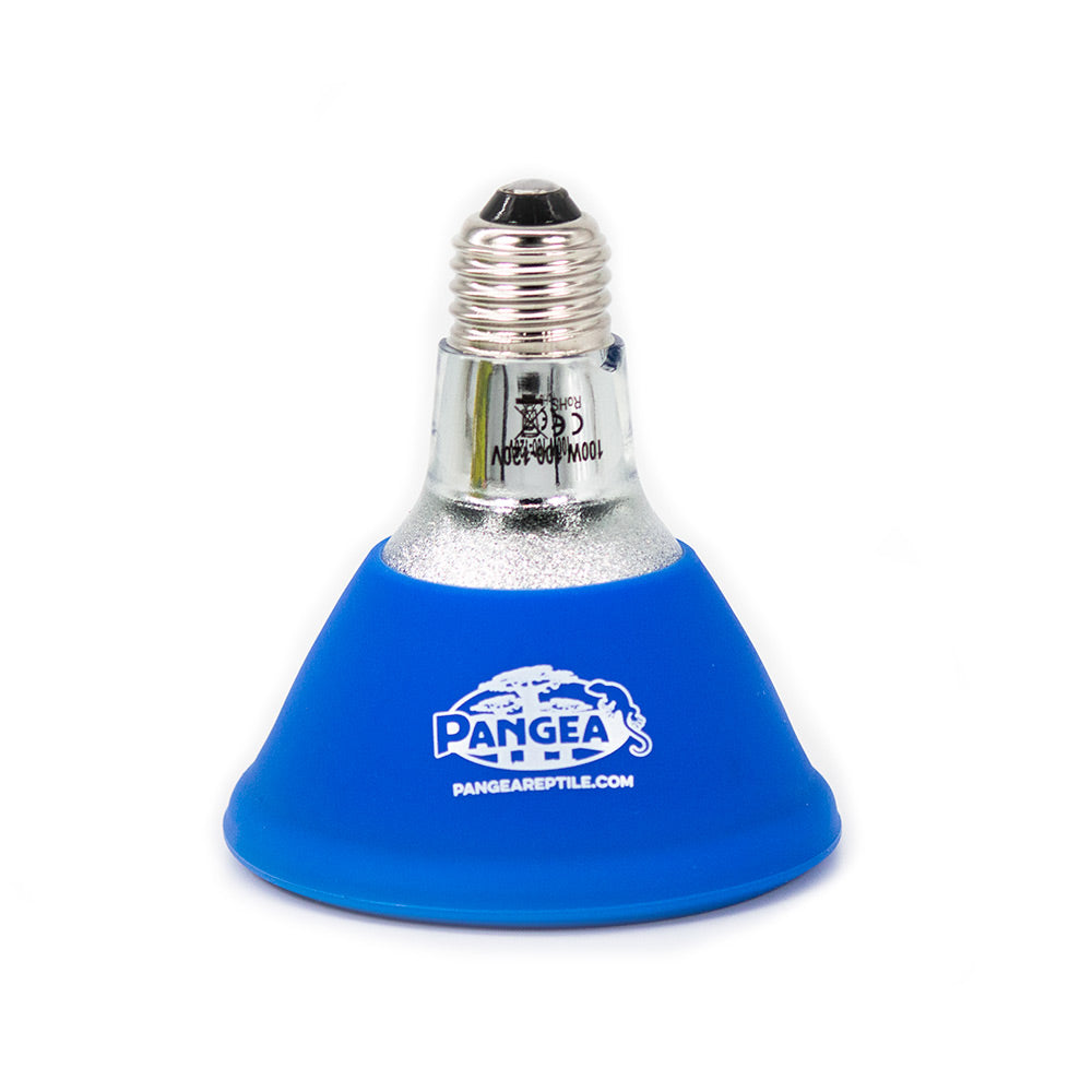 Pangea Infrared Deep Heat Projector 100w Bulb