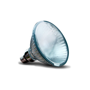 Arcadia Halogen Basking Spotlight bulb