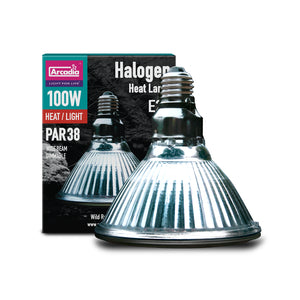 Arcadia Halogen Basking Spotlight 100 watt