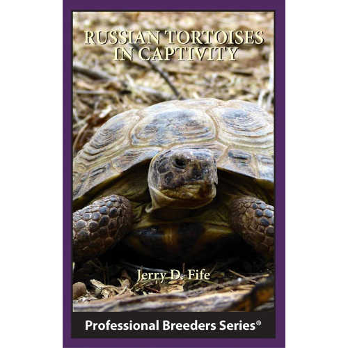 RUSSIAN TORTOISES in CAPTIVITY