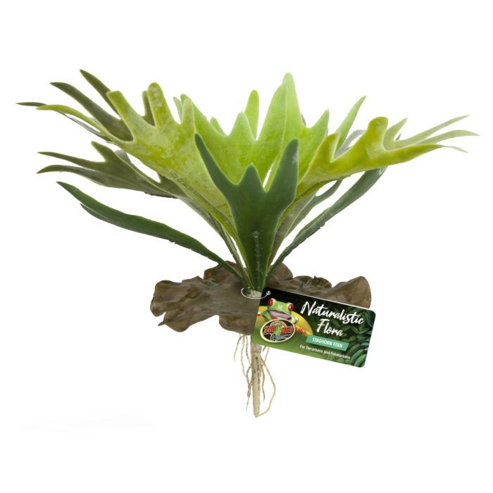 Zoo Med Naturalistic Flora - Staghorn Fern
