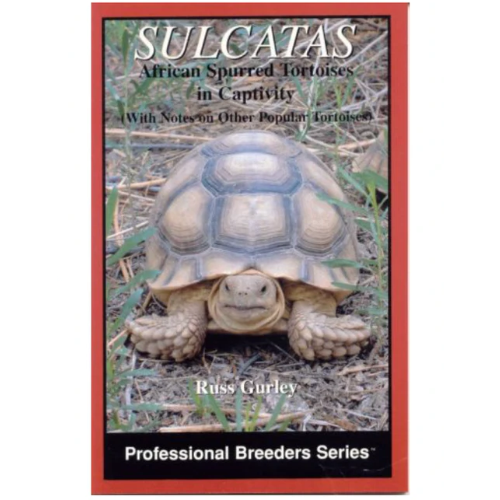 SULCATAS: African Spurred Tortoises in CAPTIVITY Pangea Reptile LLC