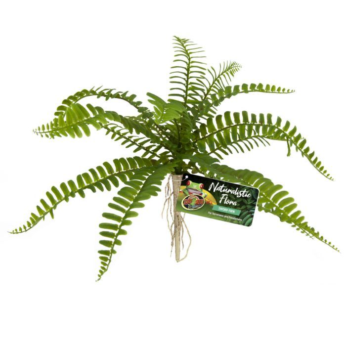 Zoo Med Naturalistic Flora - Sword Fern
