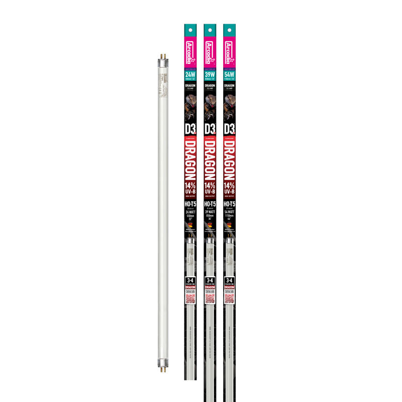 Arcadia 14% UVB T5 HO Dragon Lights