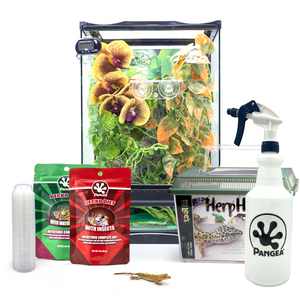Complete Crested Gecko Kit with Free Gecko!