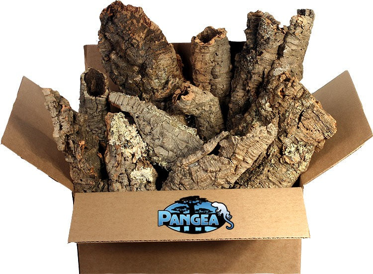 Cork Rounds Cork Bark for Sale Reptile Wood Pangea Pangea