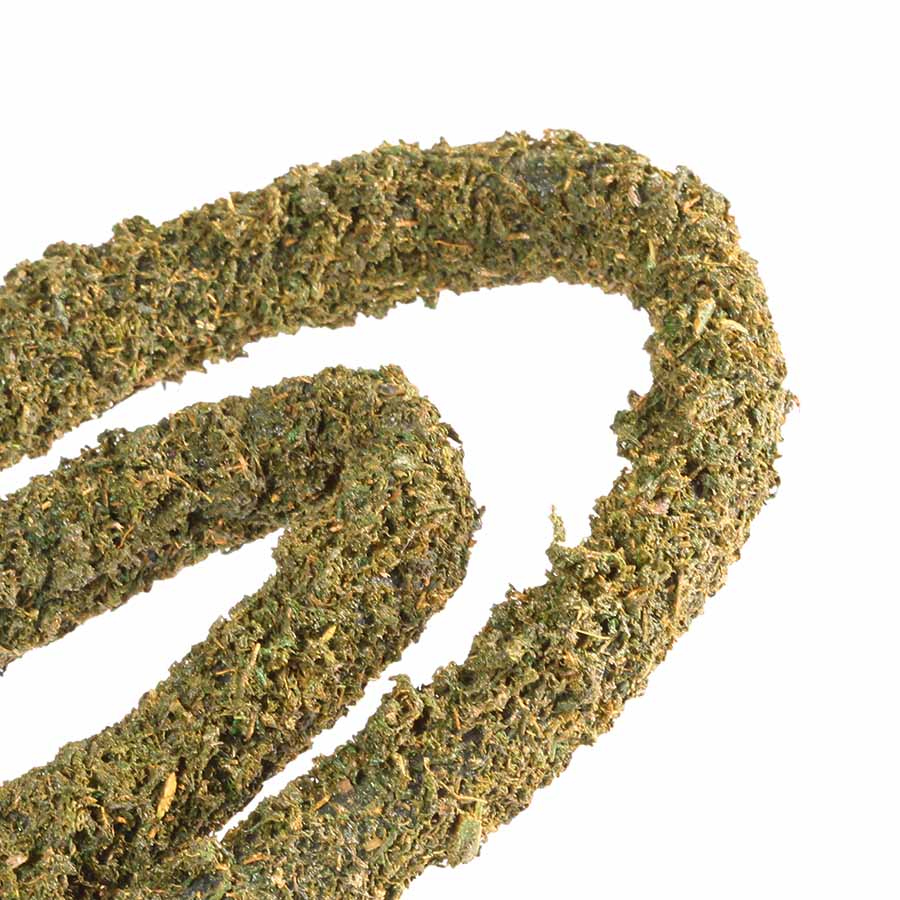 Moss Vine Exo Terra Pangea Reptile Pangea Reptile LLC