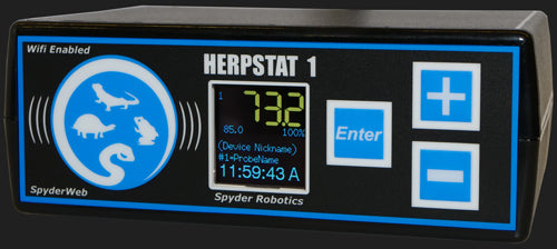 Herpstat 1 SpyderWeb Front