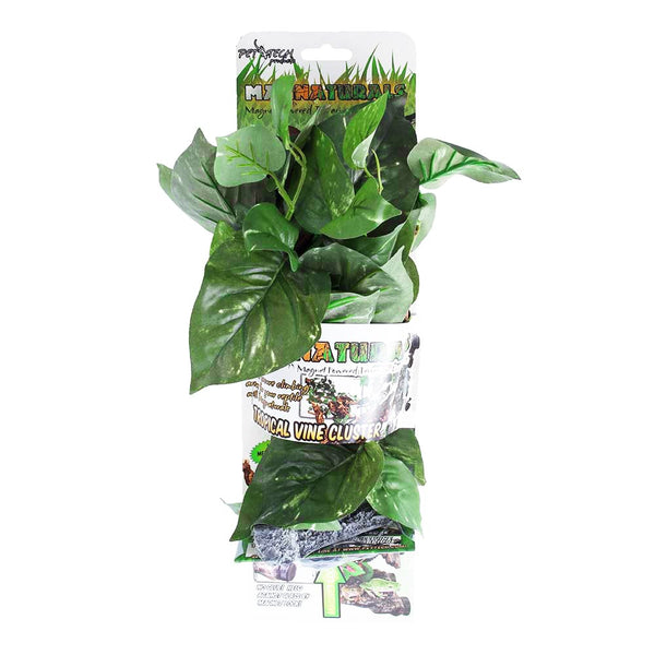 Aazon.co: USOLA Oss Vine For Reptiles, Bendable Clibing Vines