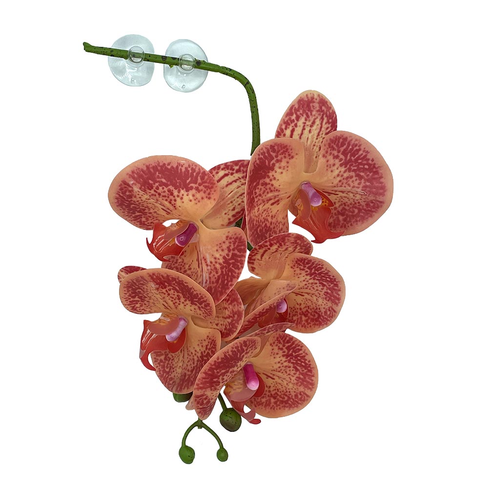 Pangea Hanging Orchids -Orange and Yellow