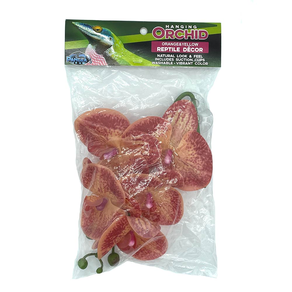Pangea Hanging Orchids -Orange and Yellow in package