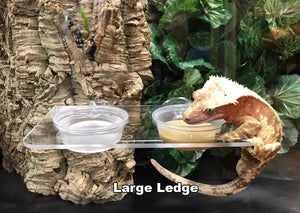Pangea Suction Cup Gecko Ledge