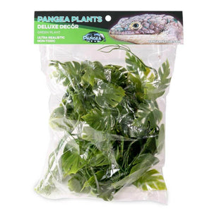 Pangea Plants - Green in Package