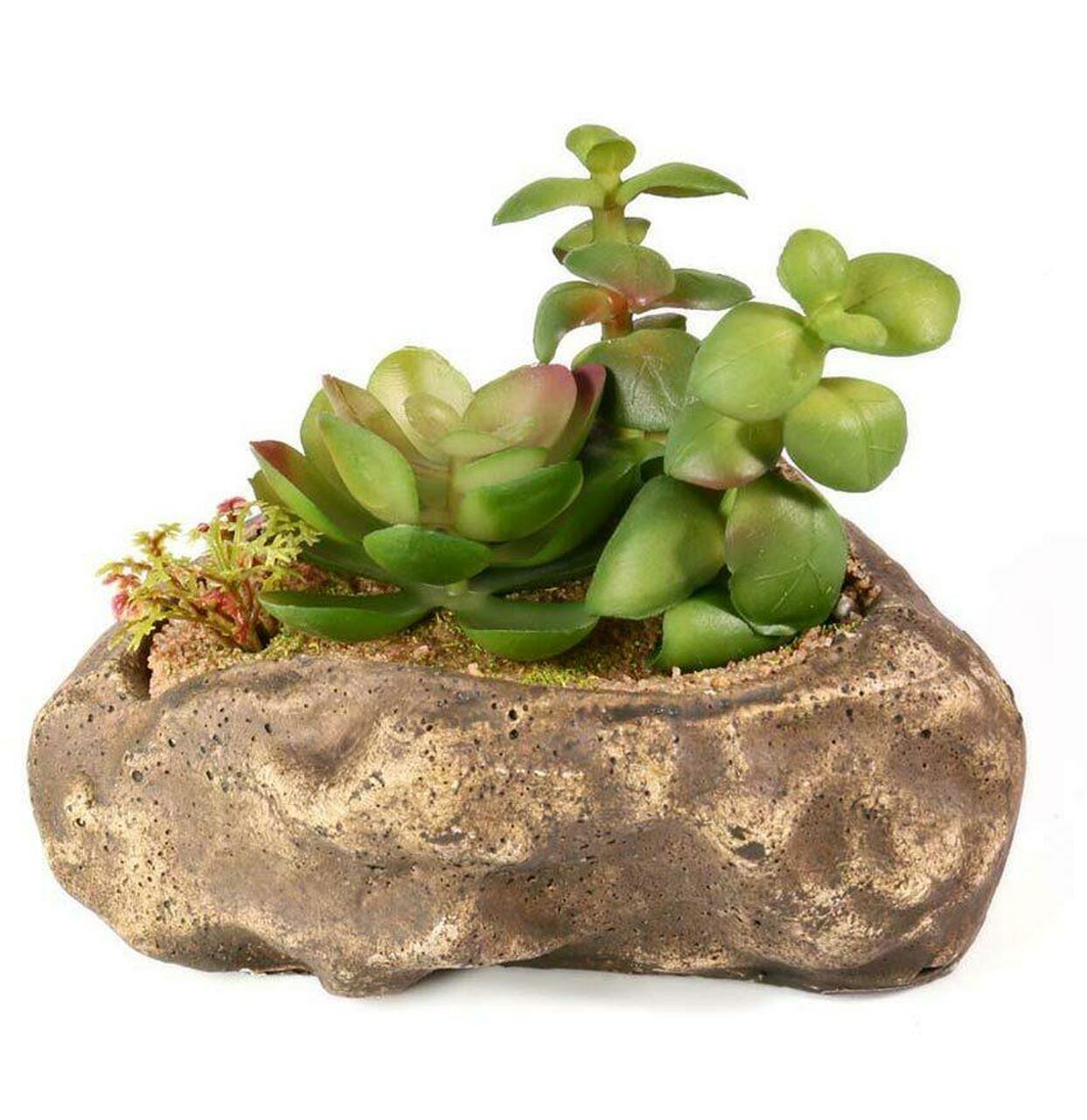 garden republic succulents Pangea Succulent Garden