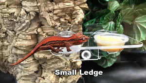 Pangea Suction Cup Gecko Ledge