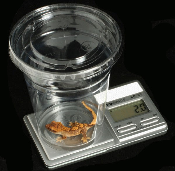 ProScale LC 300, COmpact Digital Reptile Scale