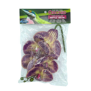 Pangea Hanging Orchids - Purple and Yellow in package
