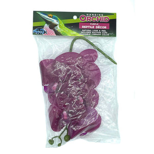 Pangea Hanging Orchids -Purple in package